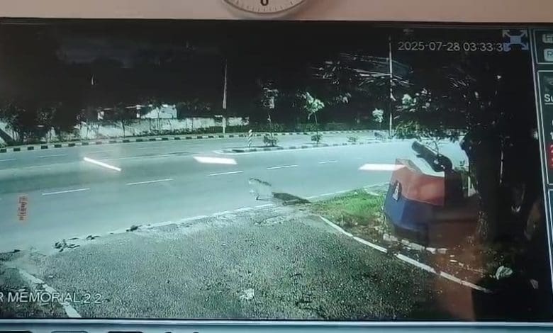 गोलकोंडा के पास तेंदुए की हलचल