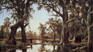 कवि मारुत का साहित्यिक दृष्टिकोण