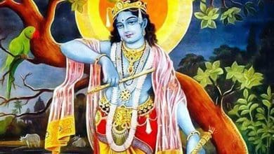 कछुए की पीठ पर सवार बिच्छू, साँप से भक्त की रक्षा करता हुआ दृश्य