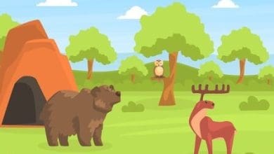 सगीना और भोलू भालू की दोस्ती की प्रेरणादायक कहानी