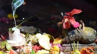 हरियाली अमावस्या: शिव कृपा, पितृ शांति और सुख-समृद्धि का पर्व