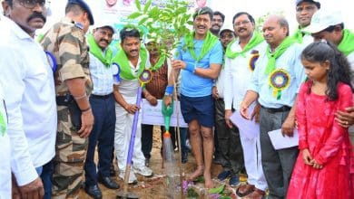 सिंगरेनी कंपनी का वृक्षारोपण अभियान