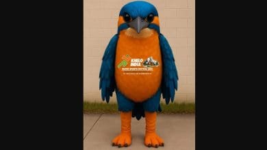 डल झील में खेलो इंडिया वाटर स्पोर्ट्स फेस्टिवल का शुभारंभ