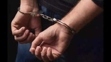 केरल में इंसान ने बिल्ली की हत्या कर वीडियो पोस्ट किया