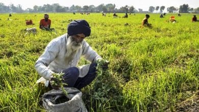 भारत में कृषि पर शून्य टैरिफ का गंभीर खतरा