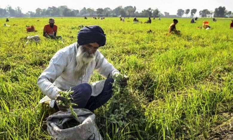 भारत में कृषि पर शून्य टैरिफ का गंभीर खतरा