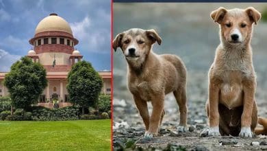 सुप्रीम कोर्ट का आवारा कुत्तों पर एबीसी नियम निर्देश