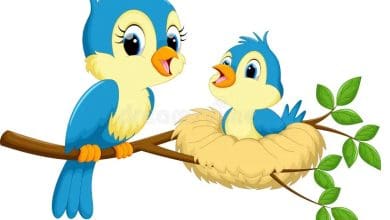 आलसी चिड़िया की कहानी