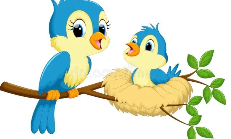 आलसी चिड़िया की कहानी