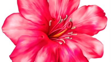 दुख, तनाव और गलत सोच से मुक्ति का उपाय