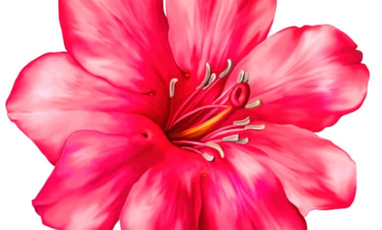 दुख, तनाव और गलत सोच से मुक्ति का उपाय