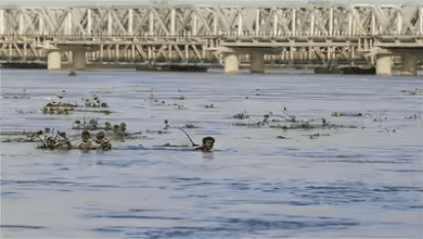 यमुना का जलस्तर 204.76 मीटर, खतरे से नीचे