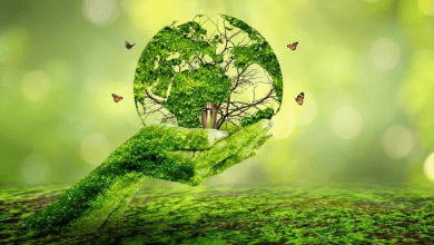 अन्न, जल और ऊर्जा बचाने का संकल्प: शुक्ल लेश्या की ओर कदम