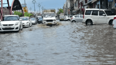 लगातार बारिश से राजस्थान के कई जिलों में जनजीवन पटरी से उतरा