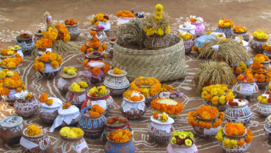 आई माताजी मंदिर संगारेड्डी में बीज महोत्सव और वार्षिकोत्सव समारोह