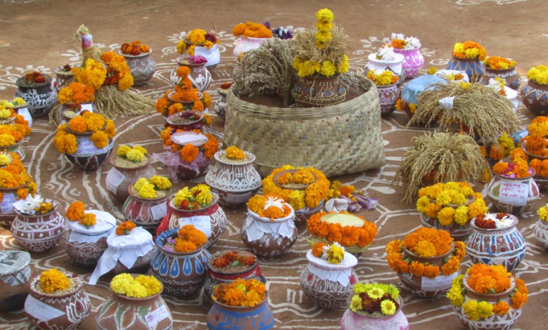 आई माताजी मंदिर संगारेड्डी में बीज महोत्सव और वार्षिकोत्सव समारोह