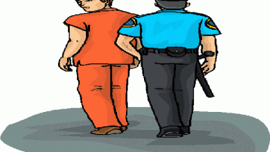 राजस्थान में मादक पदार्थों की तस्करी का आरोप : सात गिरफ्तार