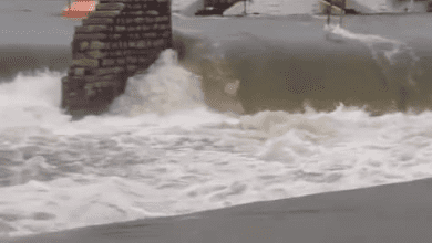 कामारेड्डी-निजामाबाद में मूसलाधार बारिश से जलभराव का दृश्य