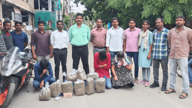 हैदराबाद आबकारी पुलिस द्वारा जब्त किया गया गांजा और गिरफ्तार आरोपी