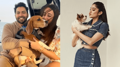 सुप्रीम कोर्ट डॉग फैसले पर जान्हवी-वरुण की नाराजगी