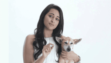 सोनाक्षी सिन्हा ने कुत्तों को आश्रय भेजने के आदेश का विरोध किया