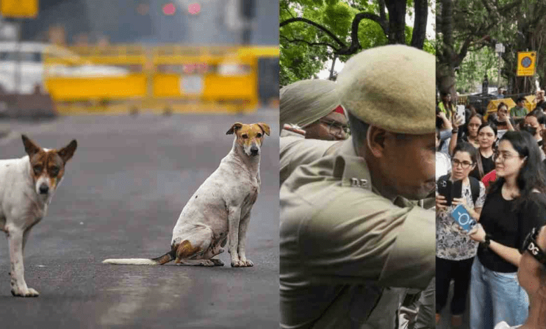 आवारा कुत्तों को शेल्टर भेजने के प्रस्ताव पर हंगामा