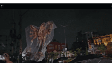 हैदराबाद पुराने शहर में शाक लगने से दो युवकों की मौत, एक घायल