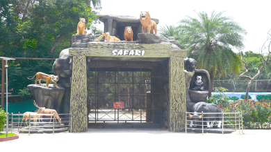 हैदराबाद नेहरू जू में नाइट सफारी और चमकते जीवों का दृश्य