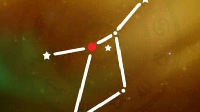 गुरु पुष्य योग और भद्रा का शुभ संयोग