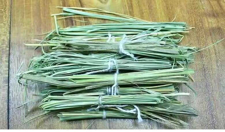 भाद्रपद अमावस्या पर कुशोत्पादन और शनि अमावस्या का महत्व