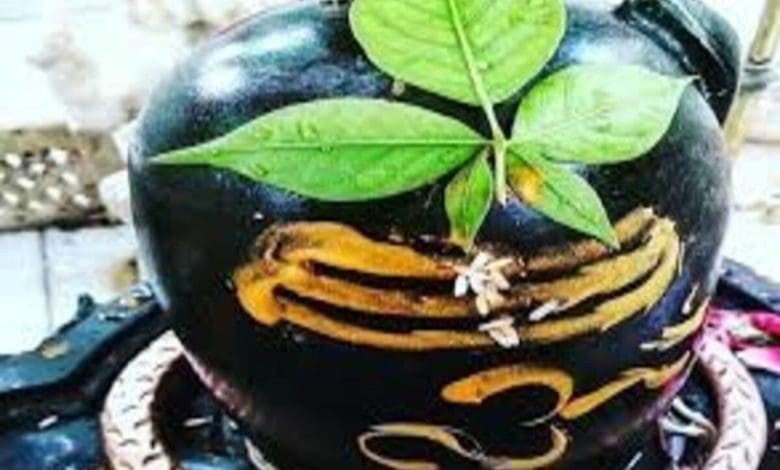 सावन में बेलपत्र से करें शिवलिंग अभिषेक और पाएं मानसिक शांति