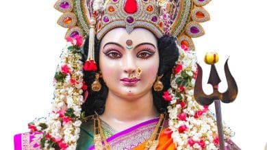 नैया पार लगाने की पुकार माँ दुर्गा से