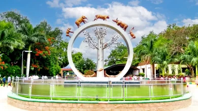 नेहरू प्राणी उद्यान में विकास कार्य और पशु निरीक्षण