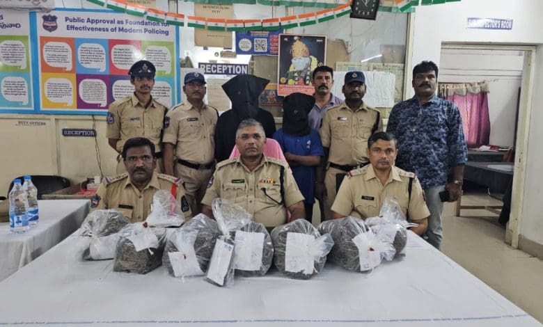 अंतरराज्यीय गांजा तस्करी का पर्दाफाश