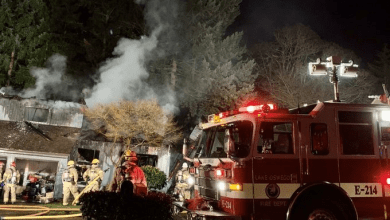 हिंडाल्को के अमेरिकी संयंत्र में आग, उत्पादन ठप