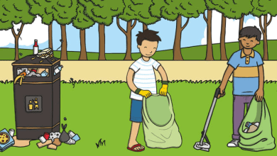 वर्ल्ड क्लीनअप डे पर हैदराबाद में चला सफाई अभियान