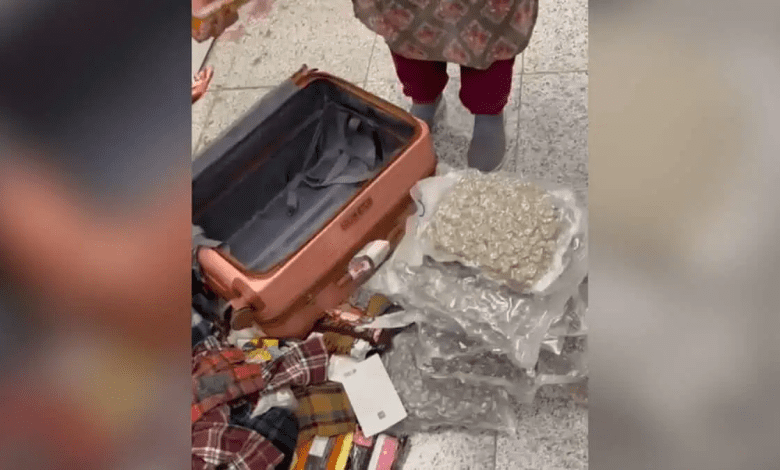 हैदराबाद एयरपोर्ट पर हाइड्रोपोनिक गांजा बरामद