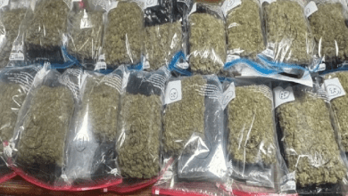 चेन्नई एयरपोर्ट पर गांजा तस्करी के आरोप में पकड़े गए यात्री