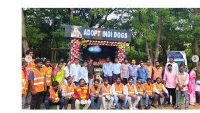 पशु चिकित्सा शाखा द्वारा दत्तक लिए गए 16 देसी पिल्ले