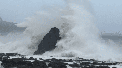 तूफान रागासा से हांगकांग और दक्षिणी चीन में मूसलाधार बारिश और तबाही