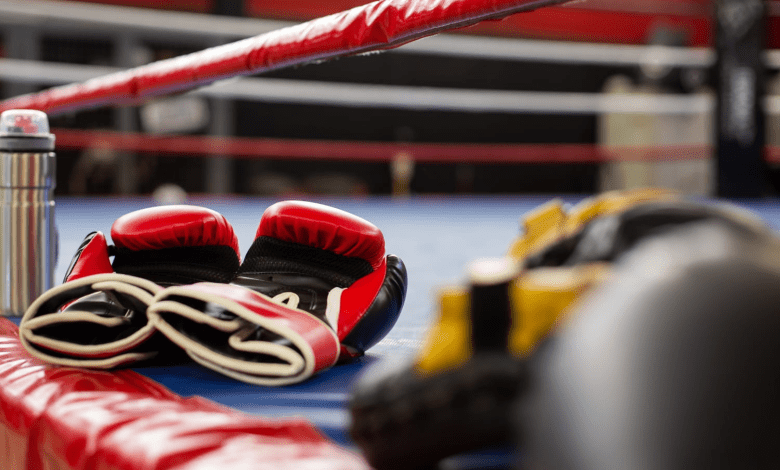 विश्व मुक्केबाजी चैंपियनशिप 2025 में भारतीय टीम की वापसी