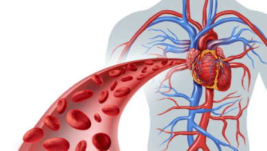 रक्त संचार सुधारने के लिए हरी सब्ज़ियां, फल और घरेलू उपाय