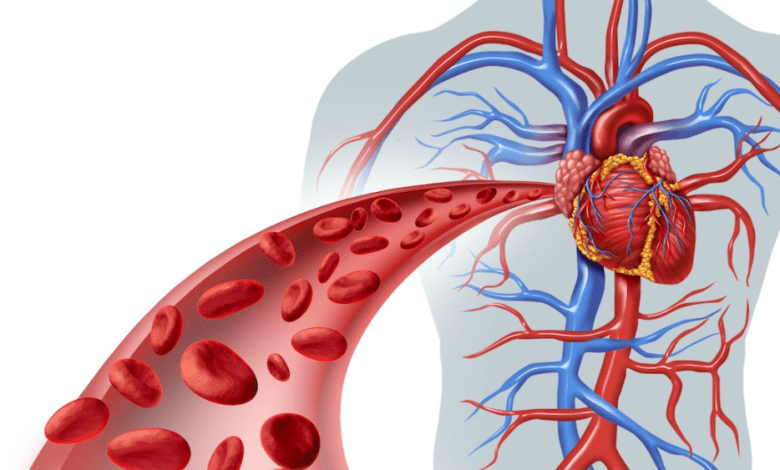 रक्त संचार सुधारने के लिए हरी सब्ज़ियां, फल और घरेलू उपाय