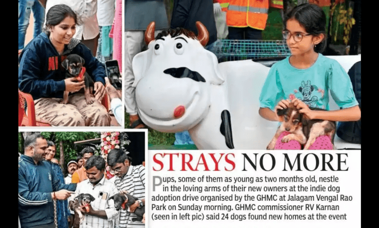 जीएमसी मेले में गोद लिए गए 22 देसी पिल्ले