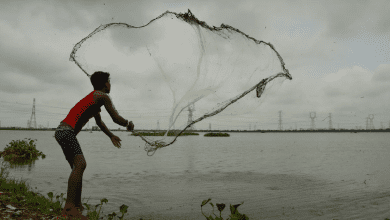 श्रीलंका में 12 भारतीय मछुआरे गिरफ्तार, नाव जब्त