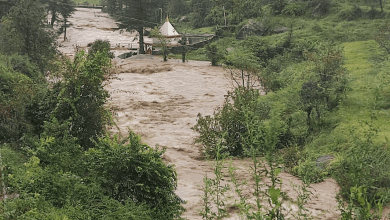 उत्तराखंड में भारी बारिश से वन दरोगा की मौत