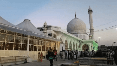 हजरतबल दरगाह में अशोक चिह्न क्षति पर 25 से अधिक लोग हिरासत में