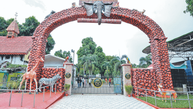 कोलकाता चिड़ियाघर में 24 घंटे में दो बाघिनों की मौत