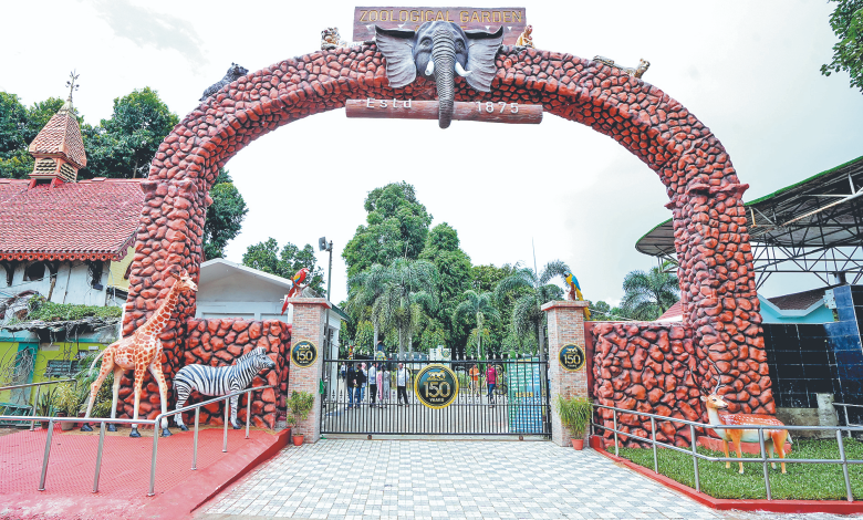 कोलकाता चिड़ियाघर में 24 घंटे में दो बाघिनों की मौत