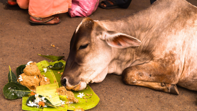 पितृपक्ष में श्राद्ध करते व्यक्ति की छवि, जिसमें पिंडदान और तर्पण हो रहा है